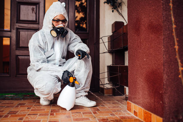 Reliable Rodent Control contractor in Tellico Village, TN by Nex Pest Control